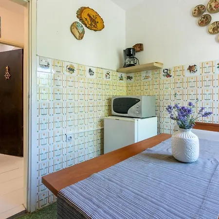 House Igor Holiday home