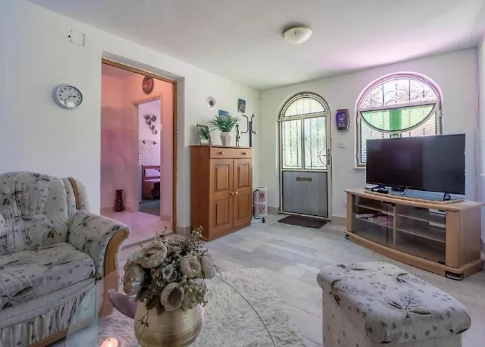 House Igor Holiday home Ledenice