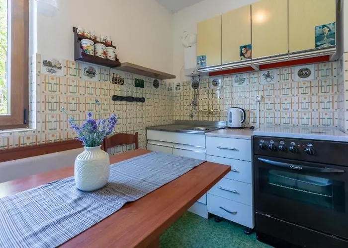 House Igor * Ledenice